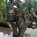 L.A. Garden Tour (6534)