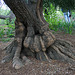 L.A. Garden Tour (6538)