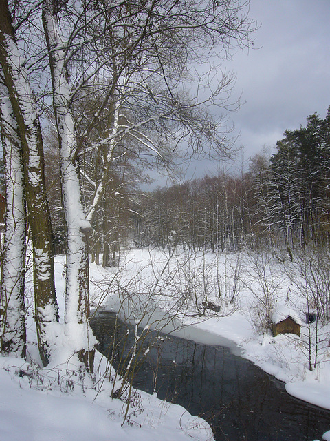 Winterspaziergang