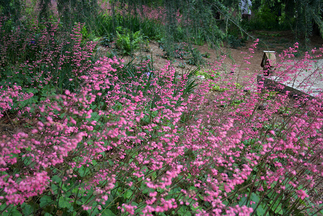 L.A. Garden Tour (6545)