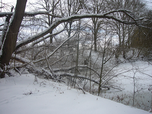 Winterspaziergang