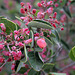 L.A. Garden Tour (6576)