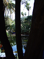 Maroc 245