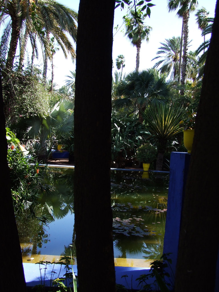 Maroc 246