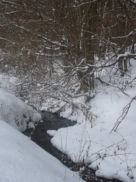 Winterspaziergang