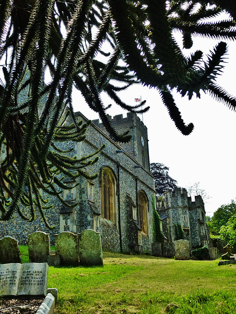 watton at stone church, herts.