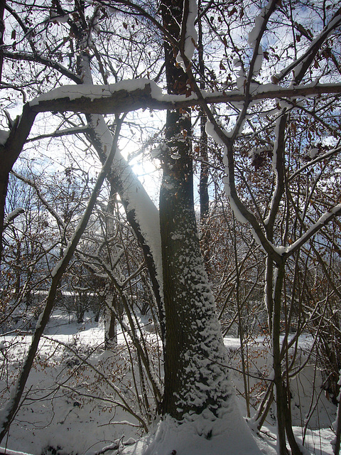 Winterspaziergang