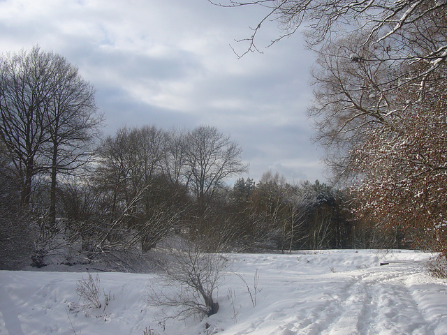 Winterspaziergang