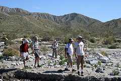 Mission Creek Preserve (5491)