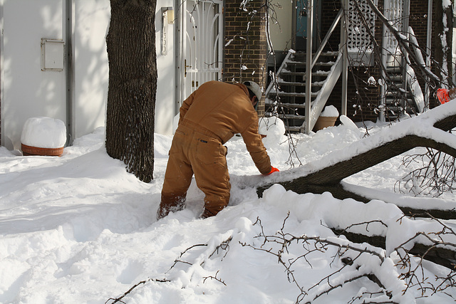 18.DayAfterSnowBlizzard.300N.SW.WDC.7February2010