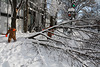 19.DayAfterSnowBlizzard.300N.SW.WDC.7February2010