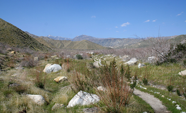 Pacific Crest Trail In Whitewater Canyon (5541)