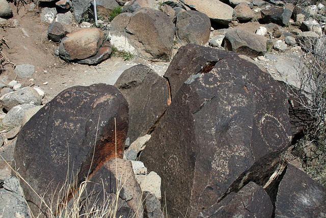 Three Rivers Petroglyphs (6068)