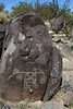 Three Rivers Petroglyphs (6069)
