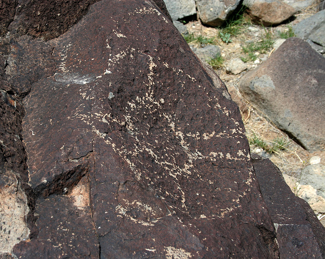 Three Rivers Petroglyphs (6071)