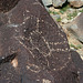 Three Rivers Petroglyphs (6071)