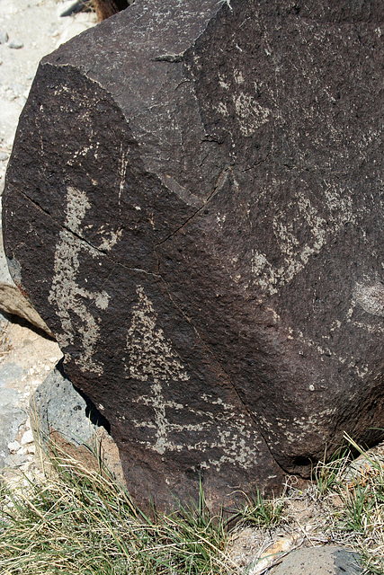 Three Rivers Petroglyphs (6072)
