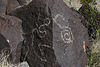 Three Rivers Petroglyphs (6074)