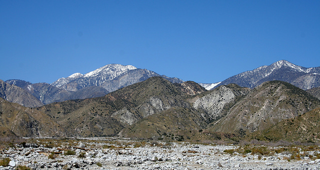 Mt San Gorgonio Seen From Whitewater Canyon (5513)