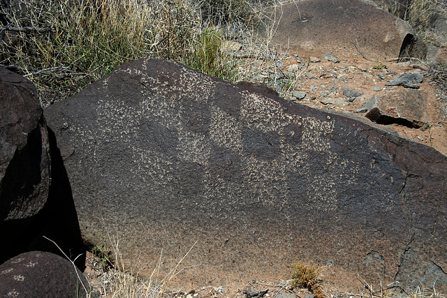 Three Rivers Petroglyphs (6077)