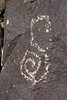 Three Rivers Petroglyphs (6078)