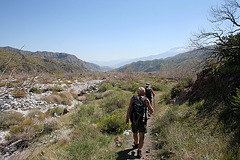 Whitewater Canyon (5532)