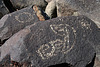 Three Rivers Petroglyphs (6081)