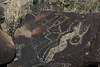 Three Rivers Petroglyphs (6082)