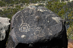 Three Rivers Petroglyphs (6084)