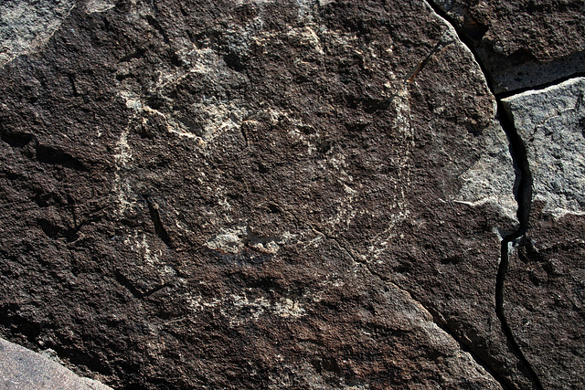 Three Rivers Petroglyphs (6085)