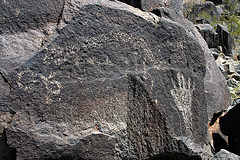 Three Rivers Petroglyphs (6086)