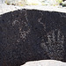 Three Rivers Petroglyphs (6088)