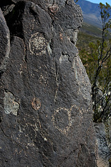 Three Rivers Petroglyphs (6089)