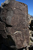 Three Rivers Petroglyphs (6090)
