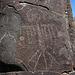 Three Rivers Petroglyphs (6092)