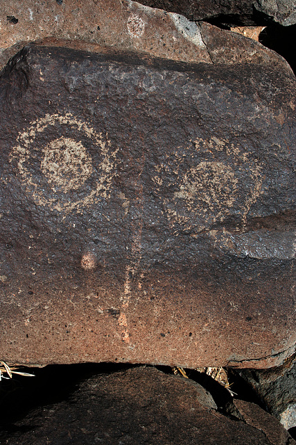 Three Rivers Petroglyphs (6094)