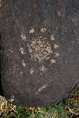 Three Rivers Petroglyphs (6095)