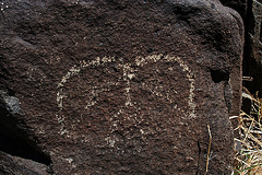 Three Rivers Petroglyphs (6096)