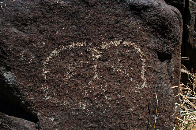 Three Rivers Petroglyphs (6096)