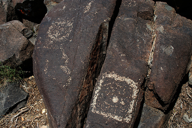 Three Rivers Petroglyphs (6098)