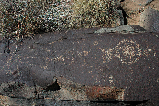 Three Rivers Petroglyphs (6101)