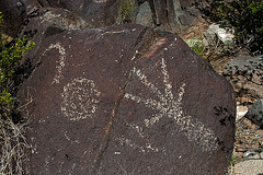 Three Rivers Petroglyphs (6103)