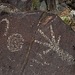 Three Rivers Petroglyphs (6103)