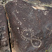 Three Rivers Petroglyphs (6104)