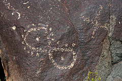 Three Rivers Petroglyphs (6105)