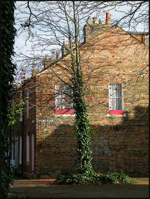 sunlight on a brick wall