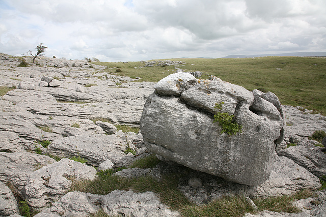 Lonely boulder