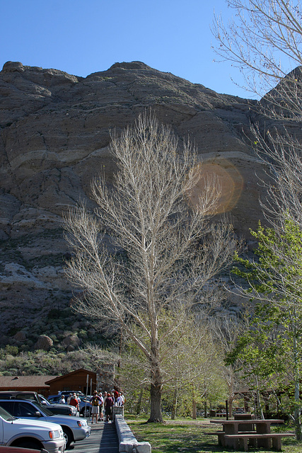 Whitewater Preserve (5484)