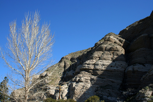 Whitewater Preserve (5486)