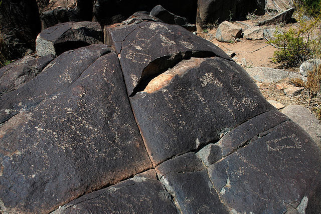 Three Rivers Petroglyphs (6106)
